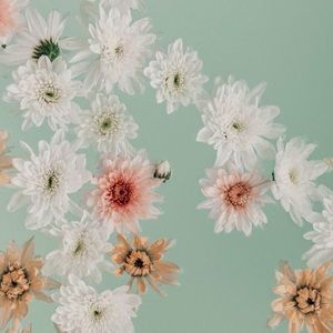 Meet your Posher, Nola